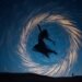 biological clocks regulate physiological functions