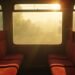contemplative journeys through tranquil landscapes