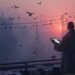dawn bird watching urban wildlife death of morning newspaper