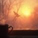 morning clarity neuroscience awakening contemplation