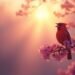 nature s orchestral dawn chorus