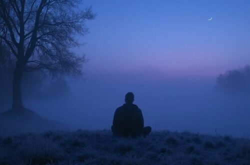 stillness solitude serenity sunrise